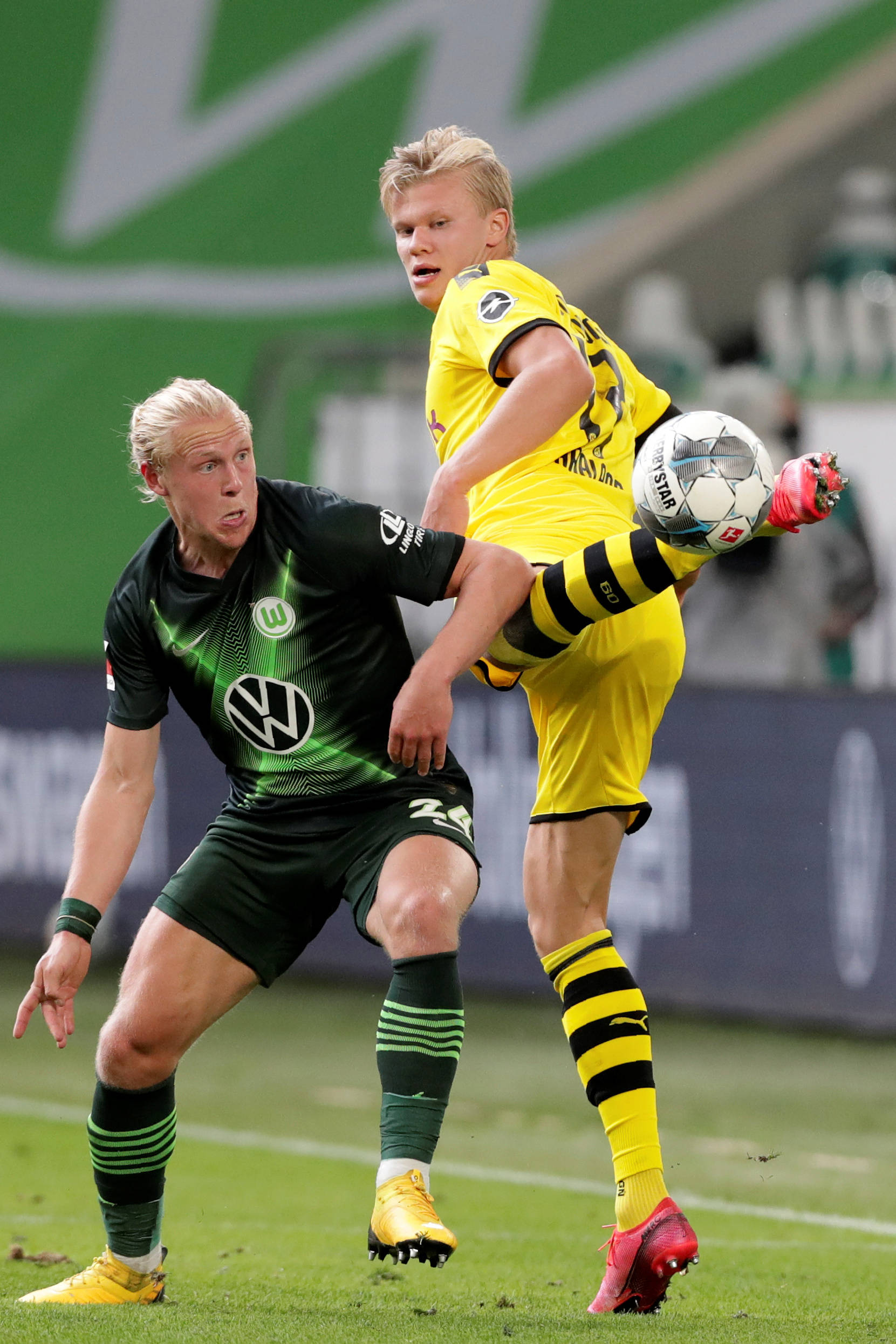 联盟党在联 联盟党在联